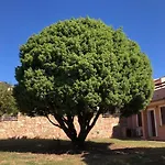Samurtabianca 1 Pula