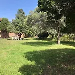 Samurtabianca 1 * Pula