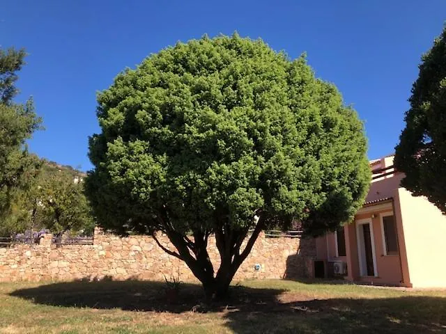 Samurtabianca 1 Pula