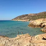فيلة Samurtabianca 1 *