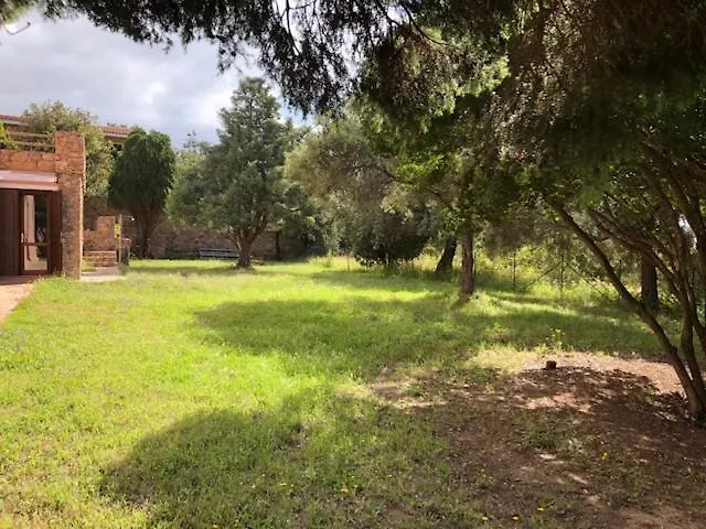 Samurtabianca 1 * Пула